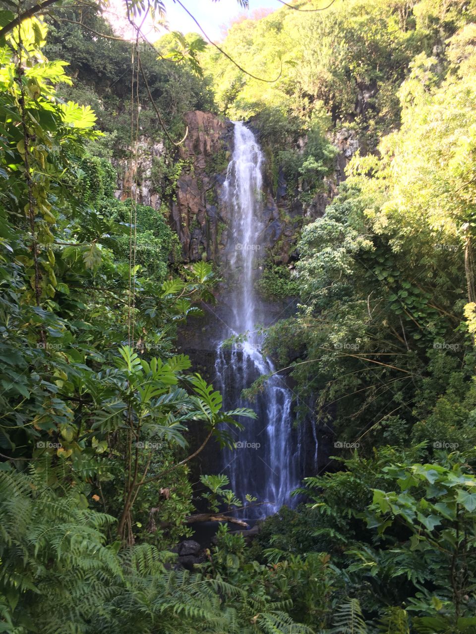 Beautiful waterfall surrounded by luscious greenery on the Road to Hana in Maui, Hawaii.