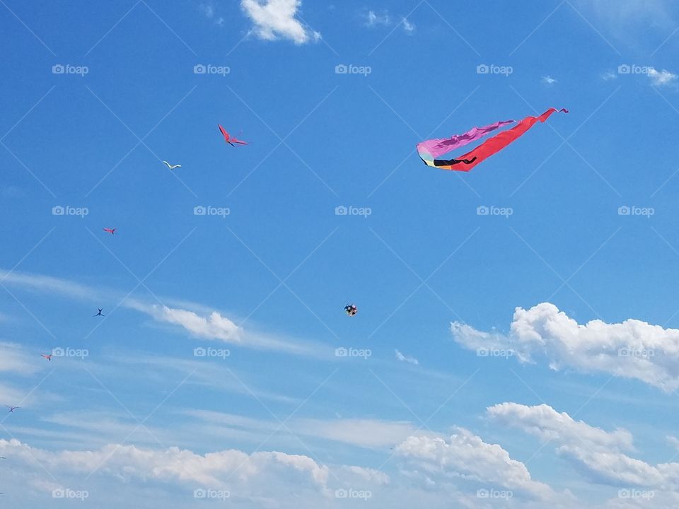 Kite flying.