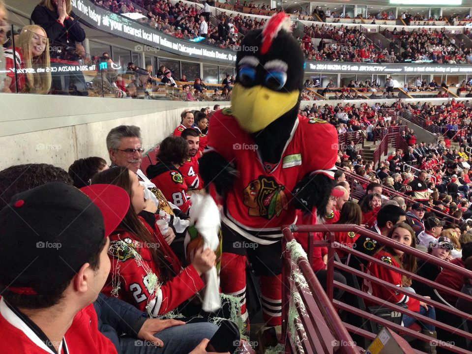Blackhawks mascot