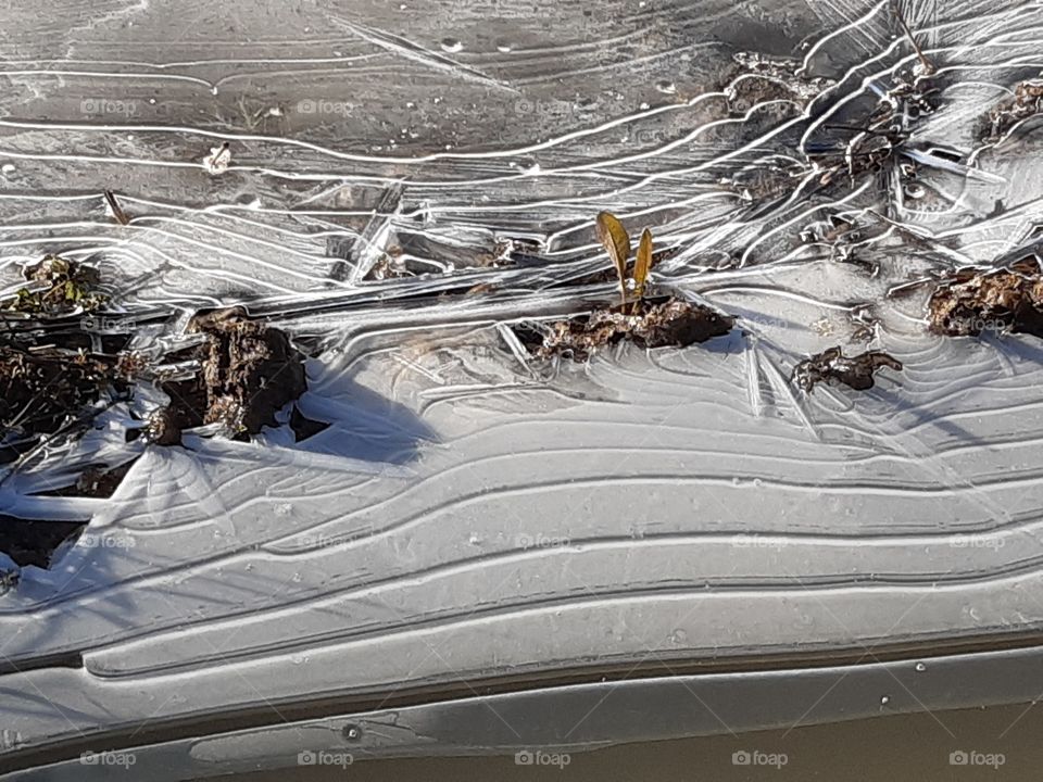 Ice along the street in a frozy day