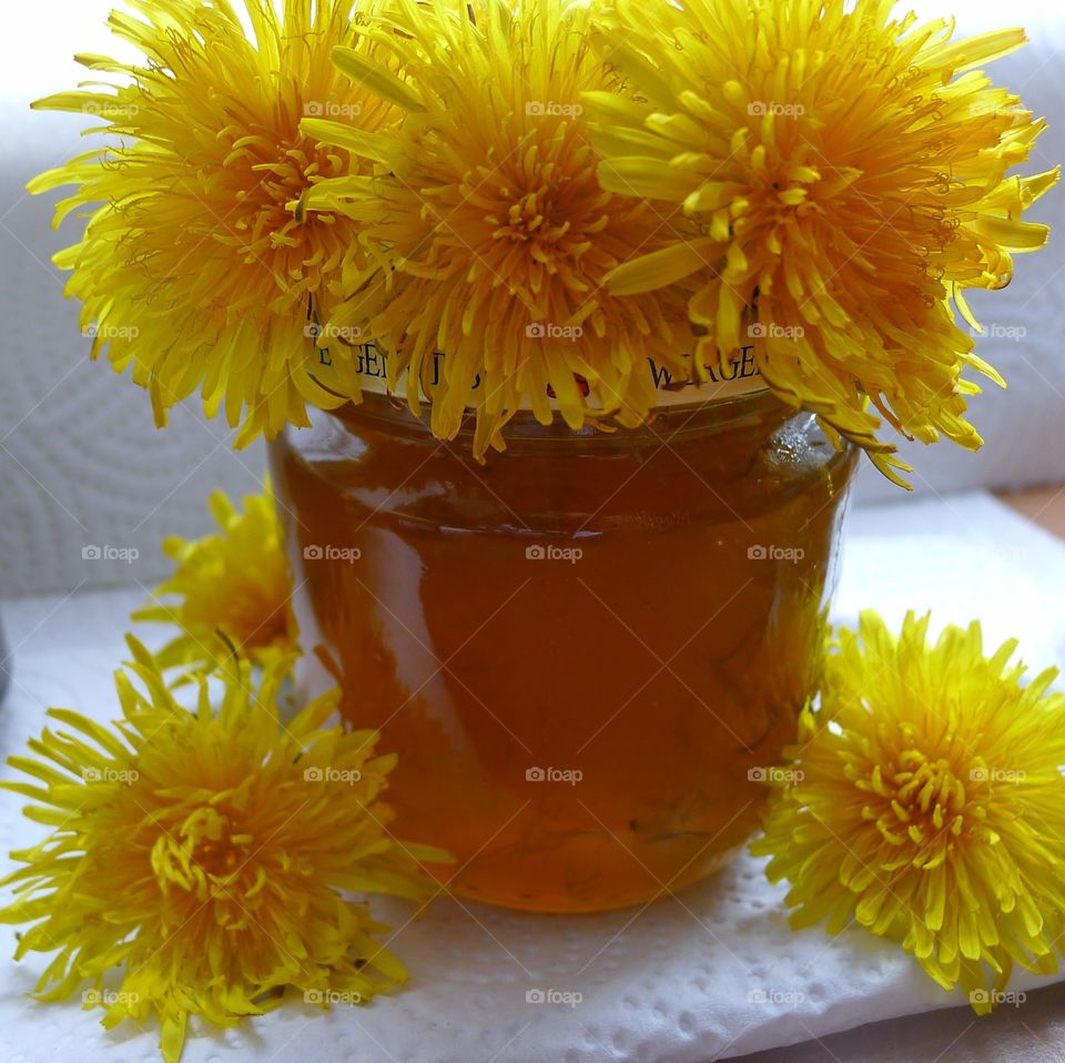 Blumen gelb Löwenzahn Honig Marmelade Gelee Blüten Frühling lecker Sommer