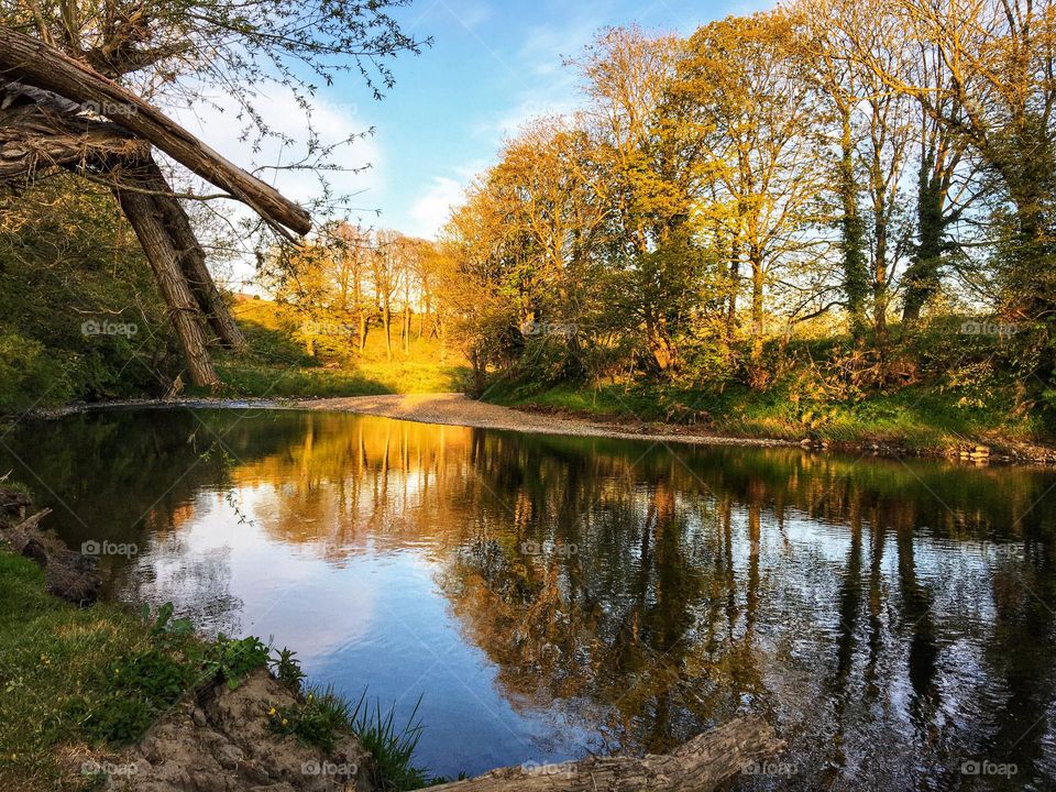 Beautiful Autumn by the riverbank 