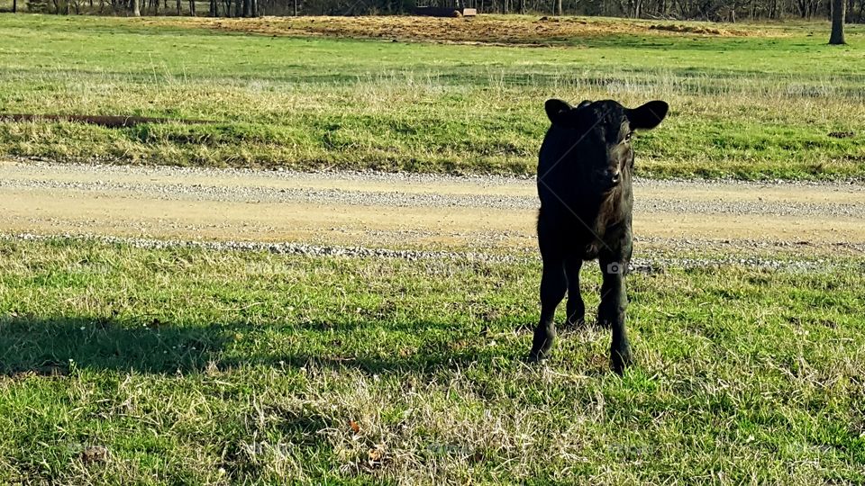 Spring time is baby time!