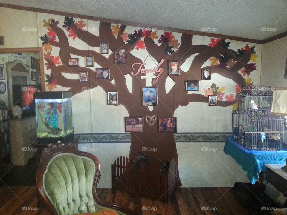family tree, pictures, love, home