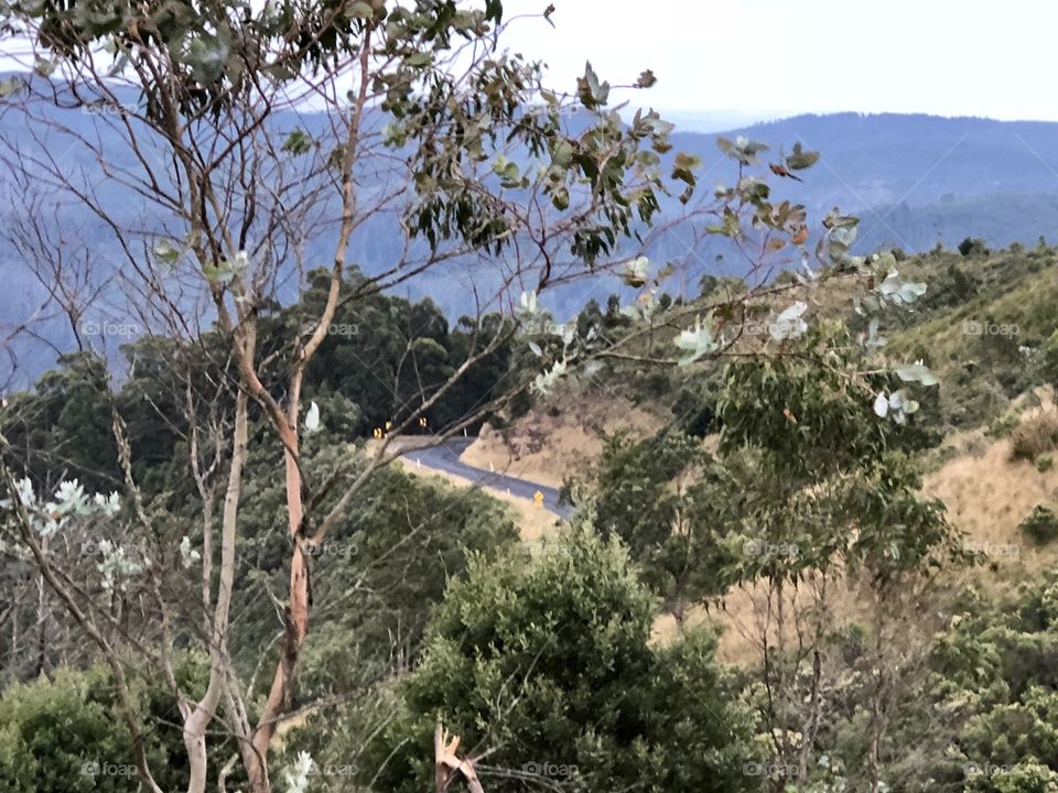 View at mount tazzie 