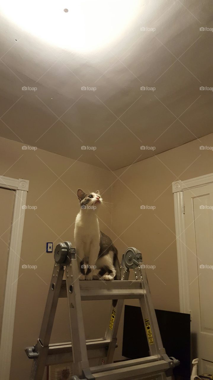 standing on the latter