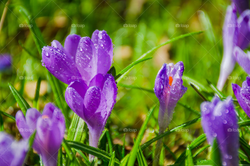 Macro shots!