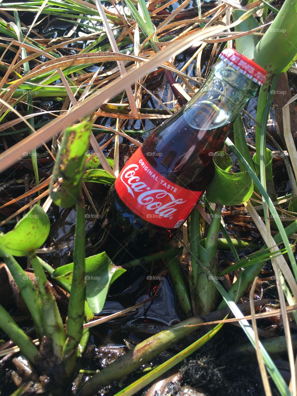 Coca-Cola photography mission 