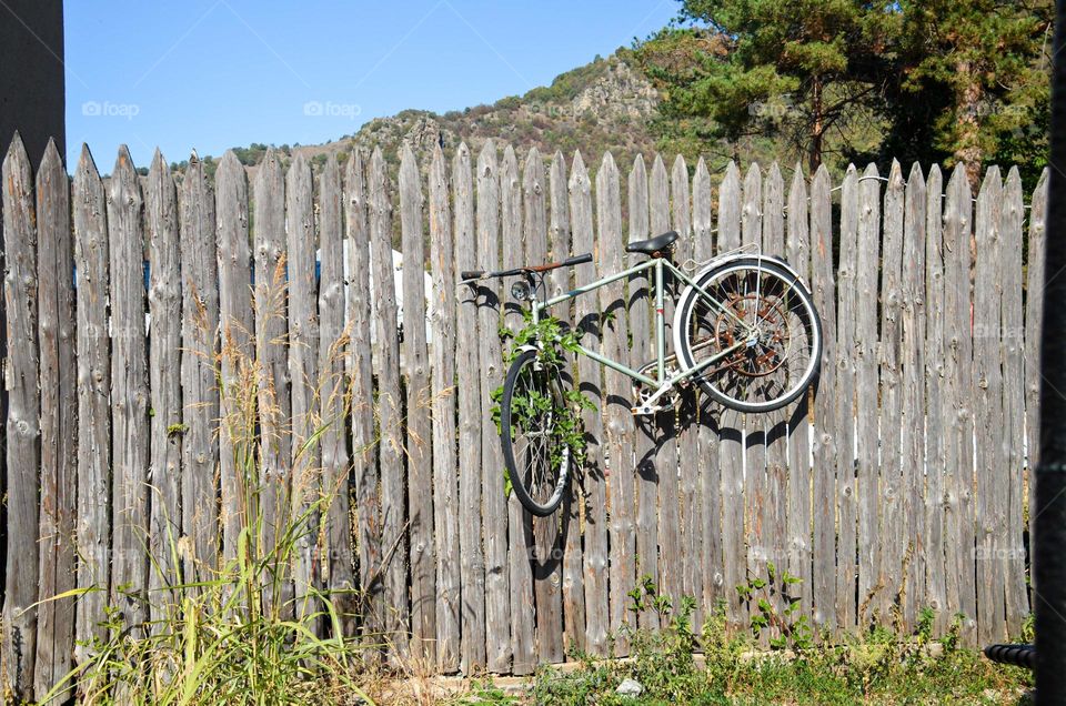 Bicycle Hanging on Fence