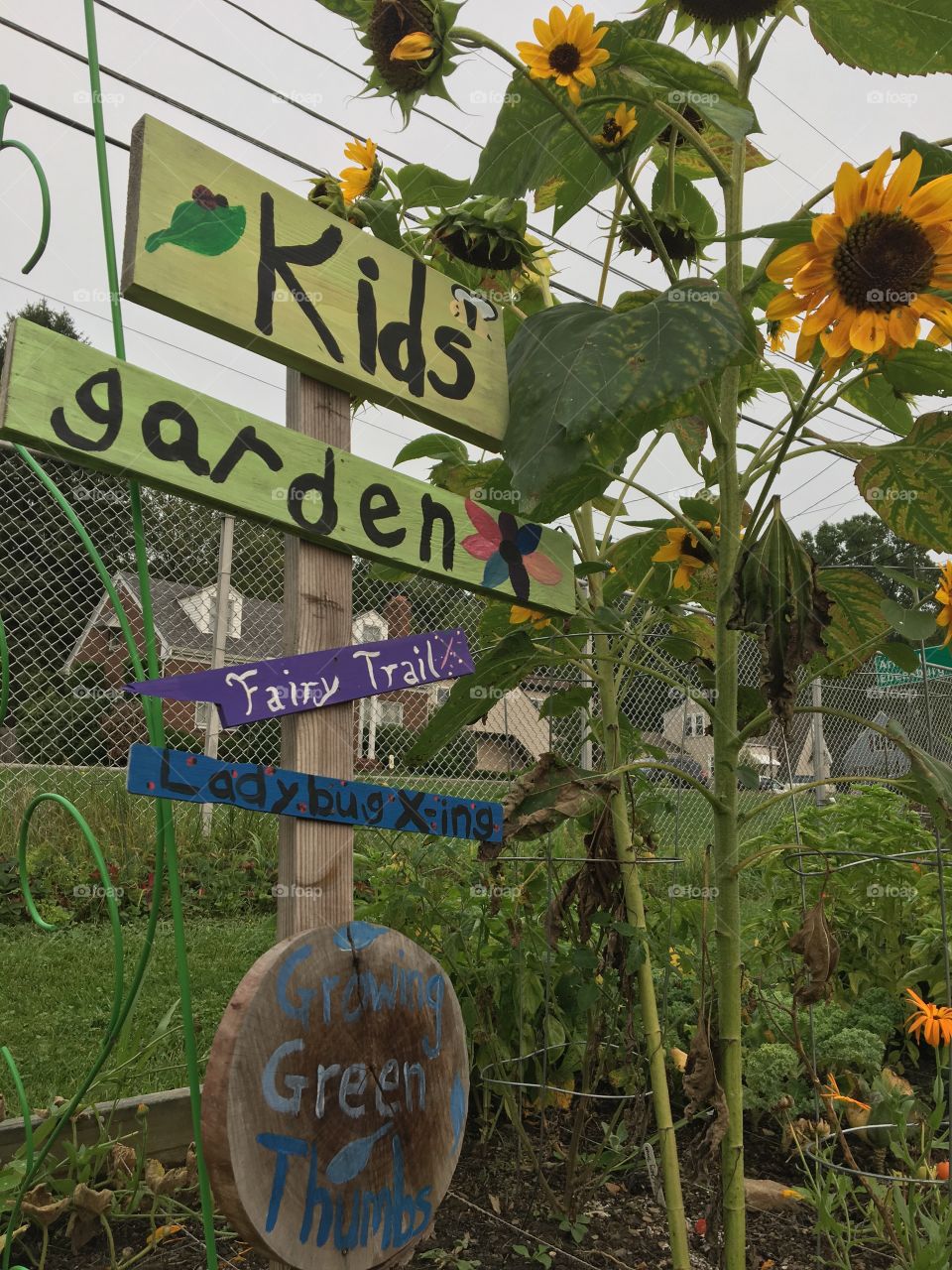 Kids garden
