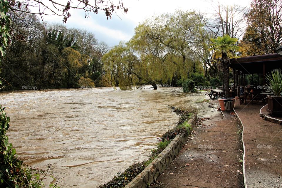 Flooded gardens of the fisherman's cot in bickleigh