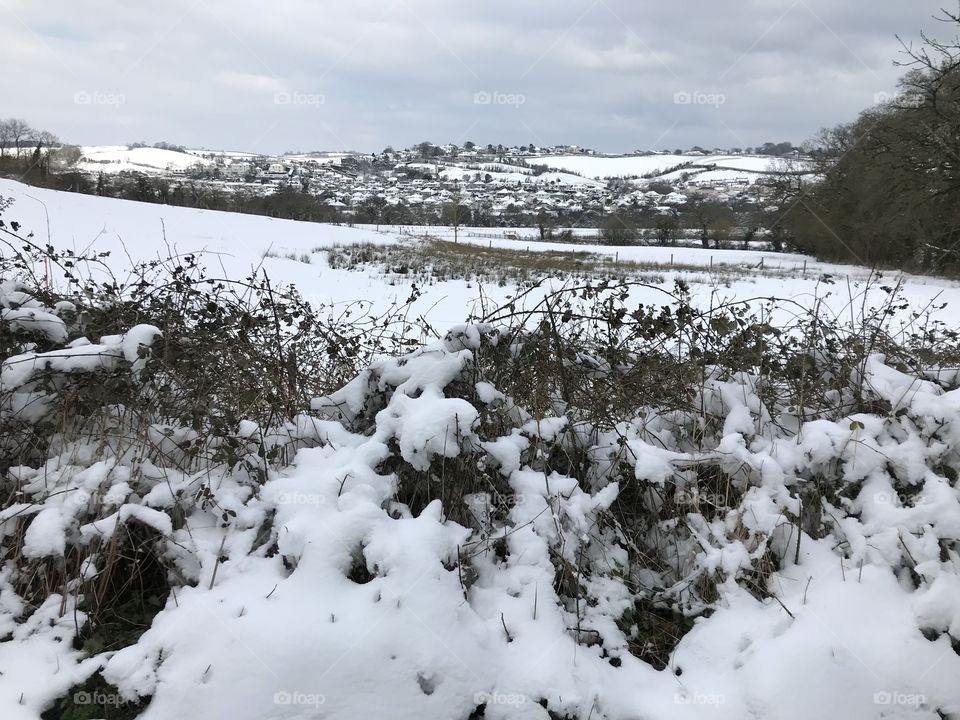 Carpet of snow embracing vast stretches of lovely countryside.