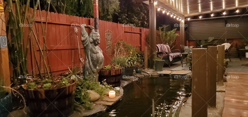 This is our backyard