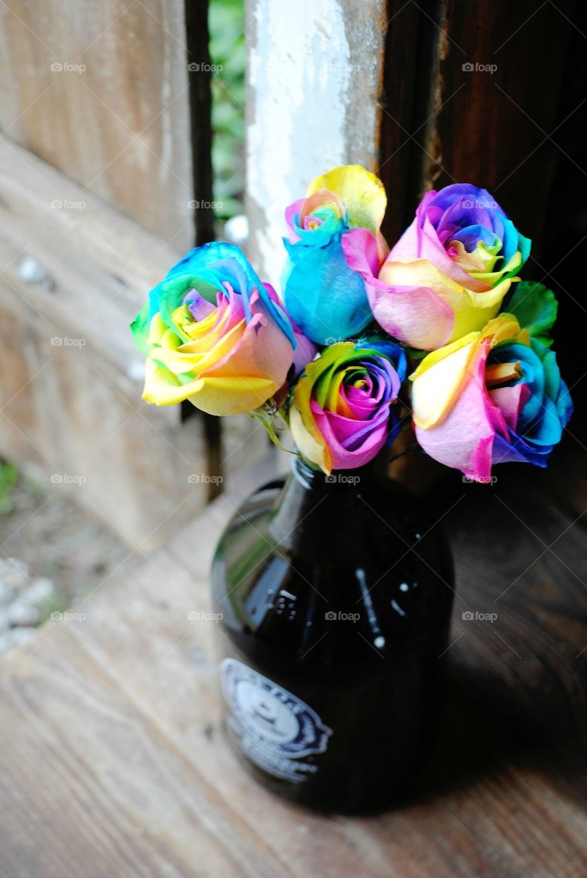 Rainbow Roses