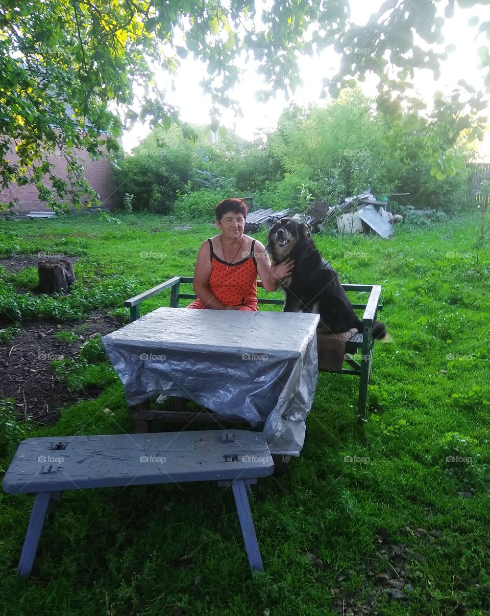 Walking woofs people on a walk with dogs