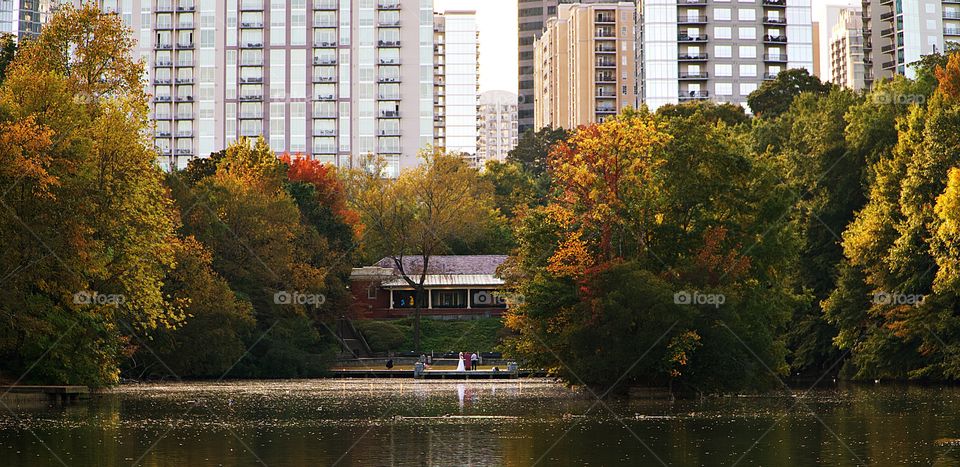 Fall in Atlanta