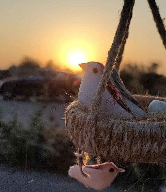 photo of November month