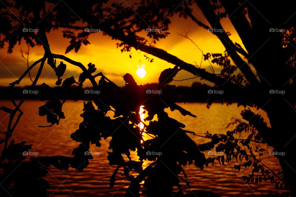 When the sun is setting whatever are you doing and watch it