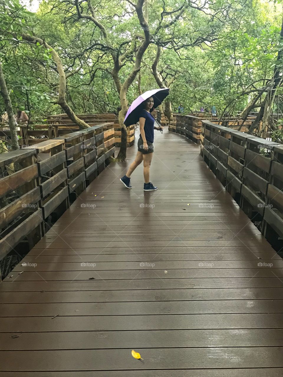 Walking in the mangroves..