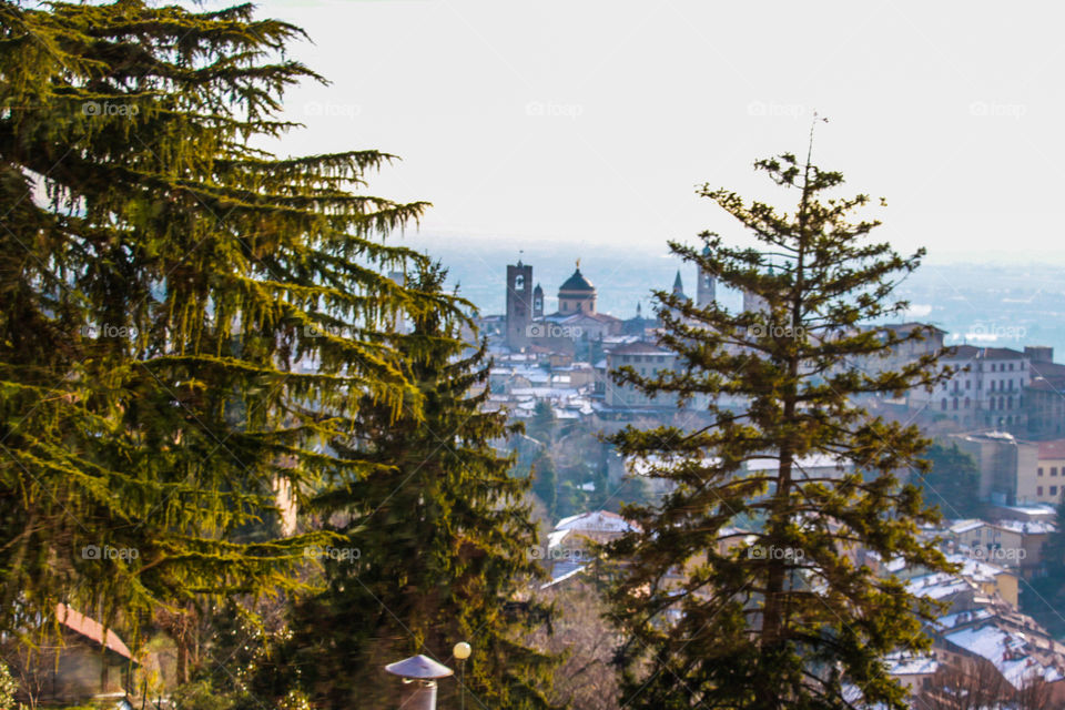 Two trees, a castle and a foggy weather.