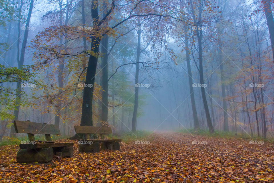 Fall season in seven Mountains Germany 