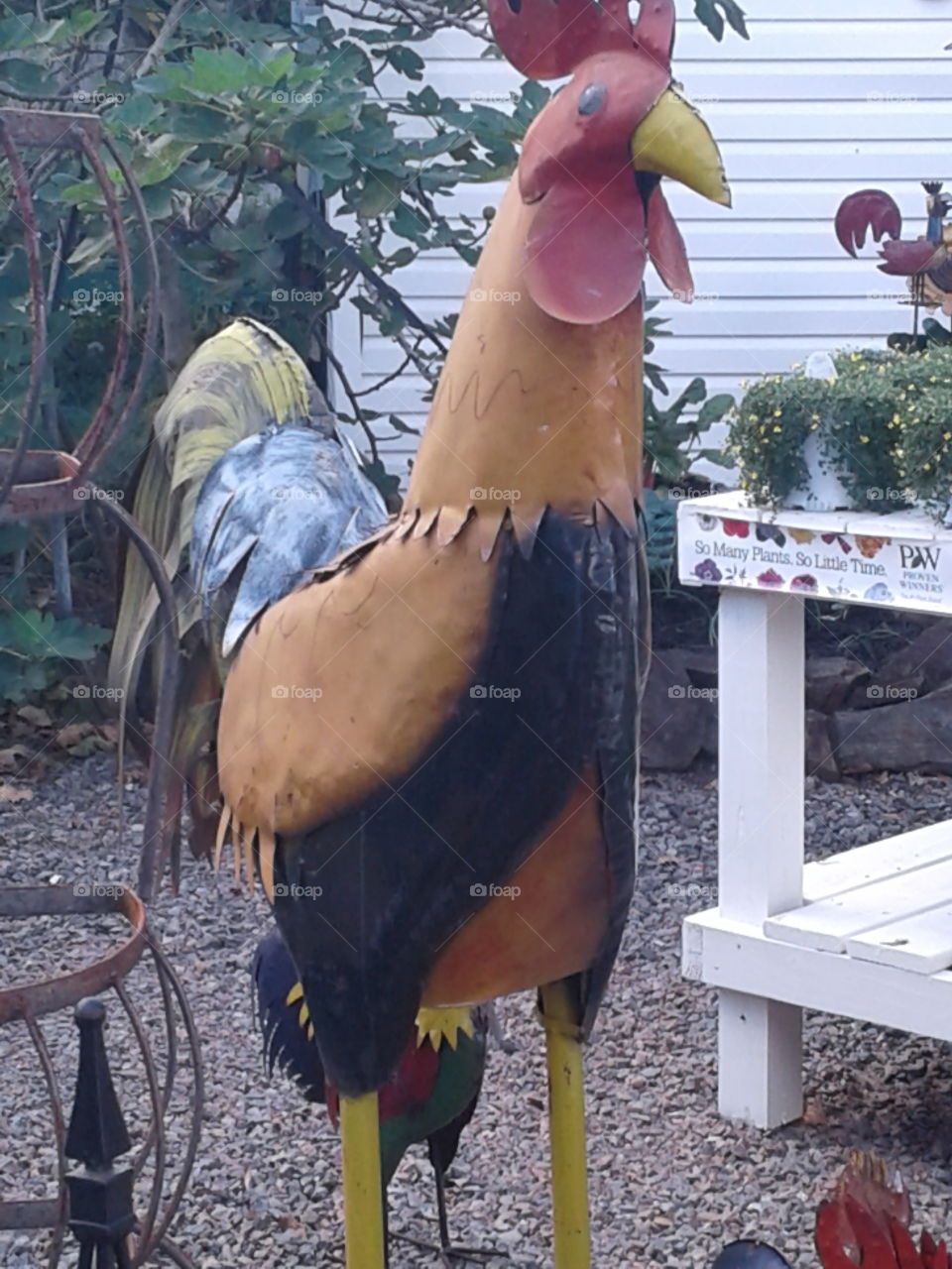 Giant Rooster Decoration