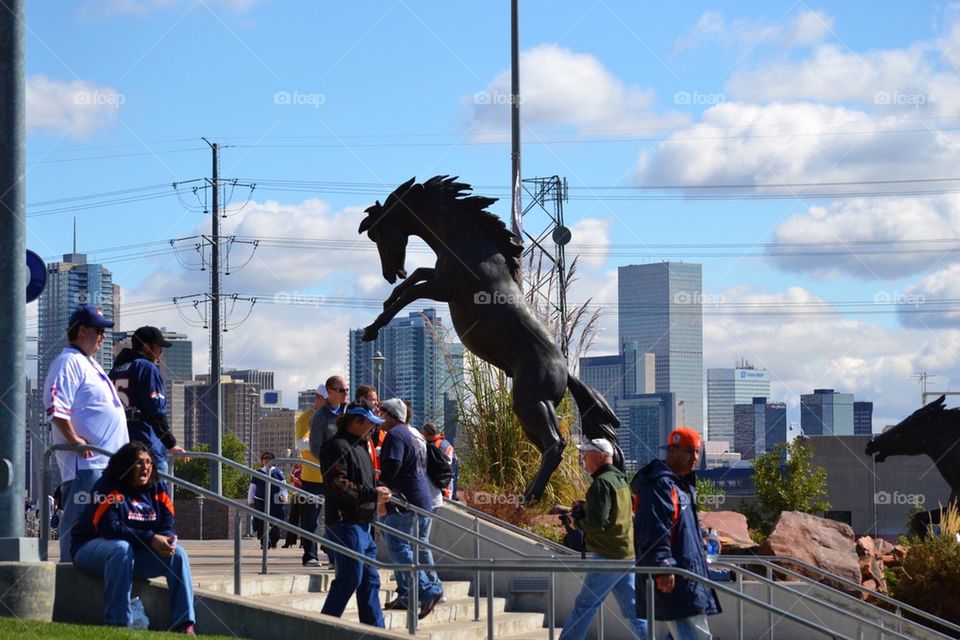 Bronco 