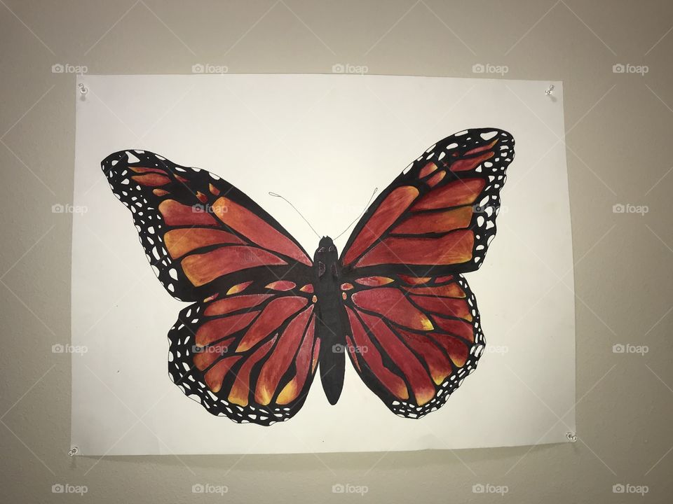 Beautiful butterfly drawing in water color and sharpie