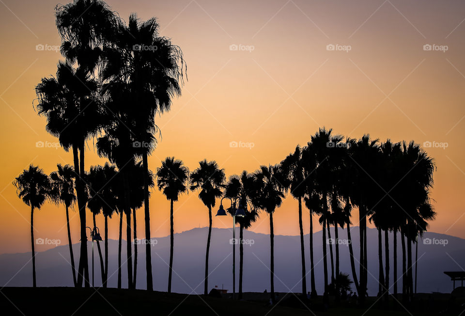 Sunset at Venice Beach California 