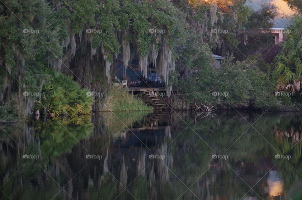 Spooky Southern Pond Reflection