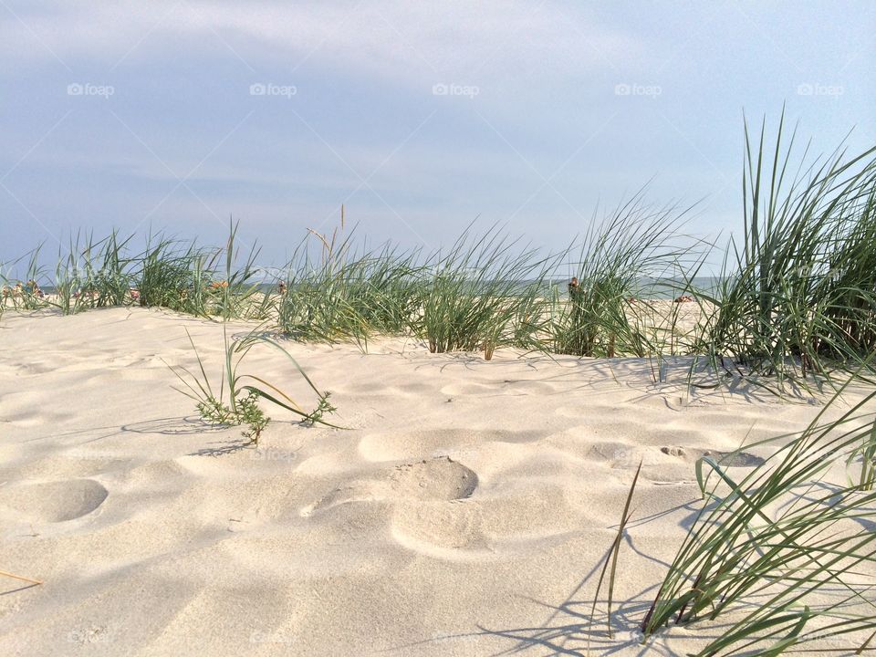 On the beach