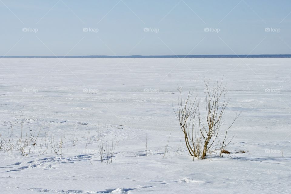 Winter Landscape 