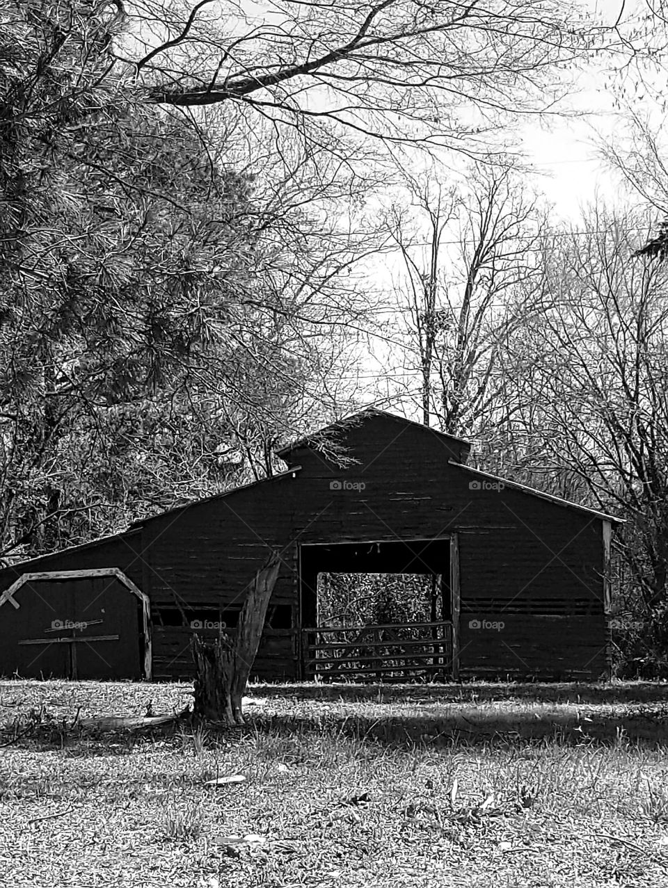 Barn