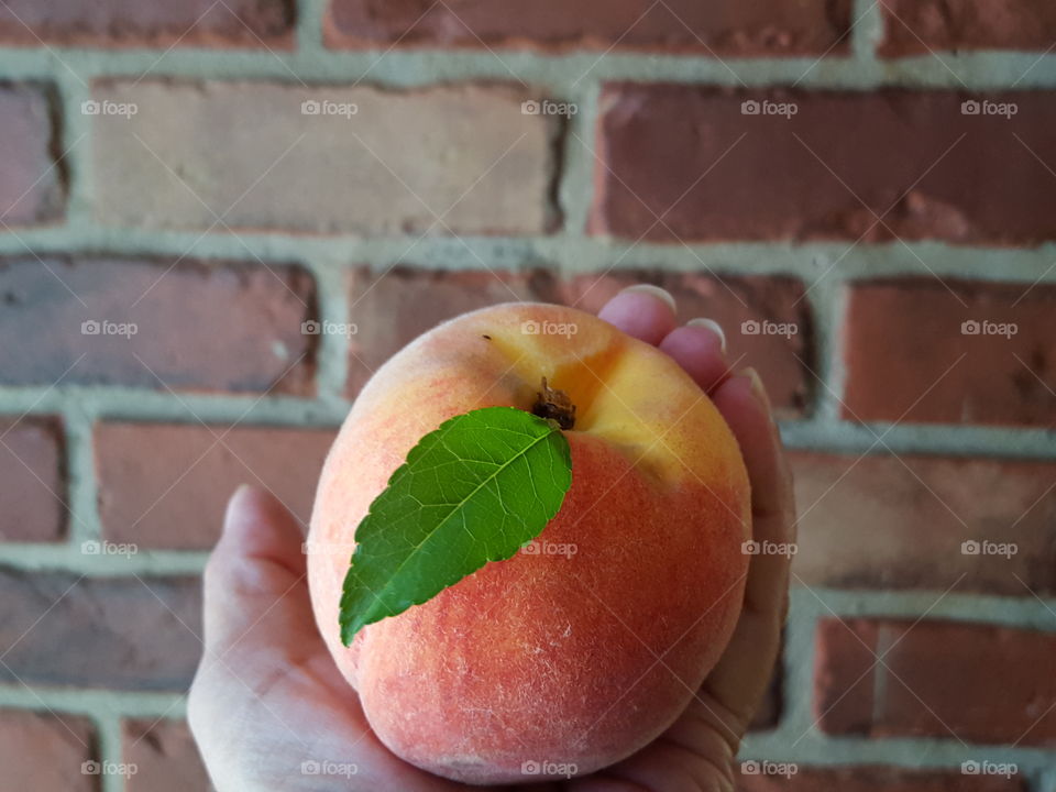 Holding a Single Peach
