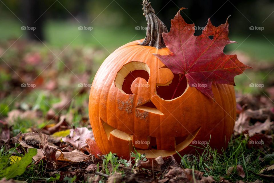 Cute jack-o-lantern with a maple leaf stuck on it