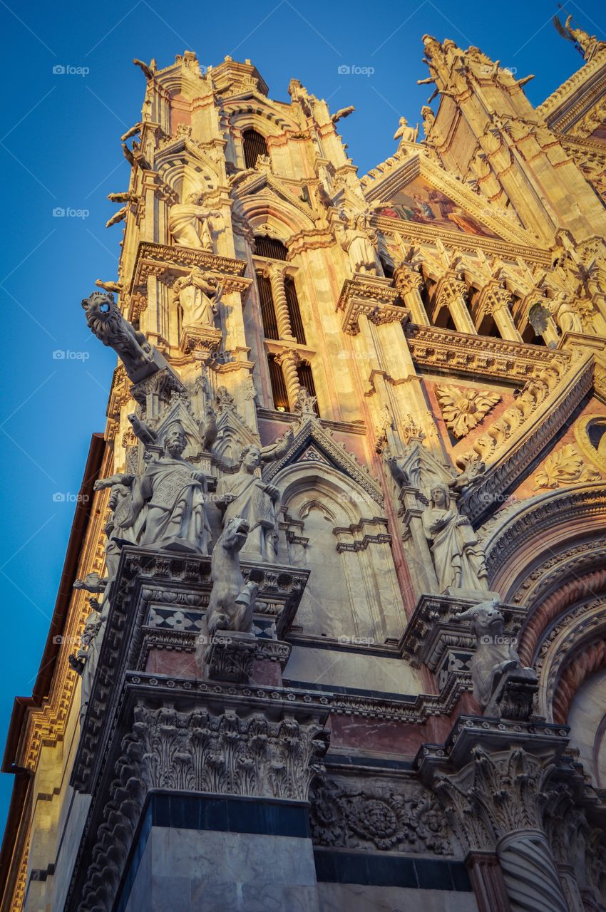Detalle Fachada Catedral de Siena (Siena - Italy)