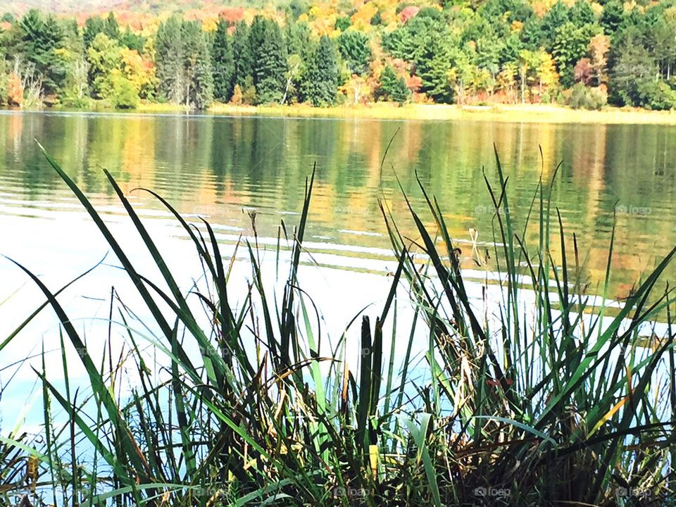 Peaceful reflections