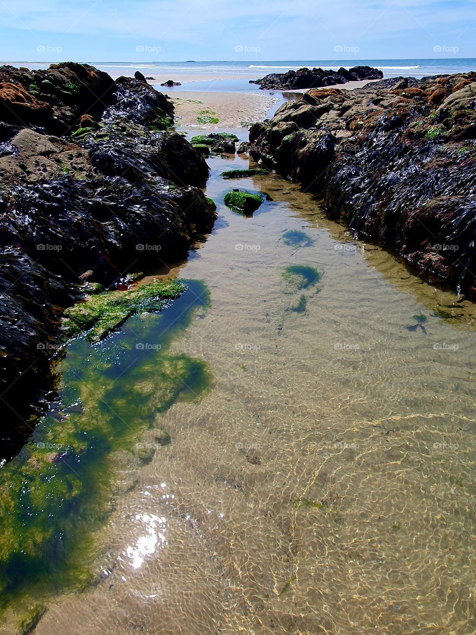 Kervégant beach reefs