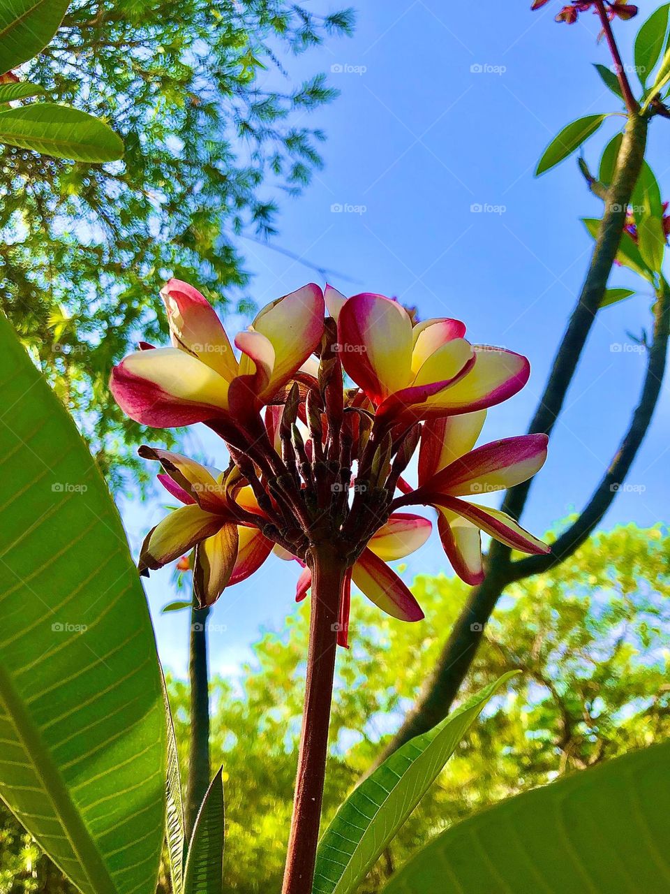 Upload photo of the month March