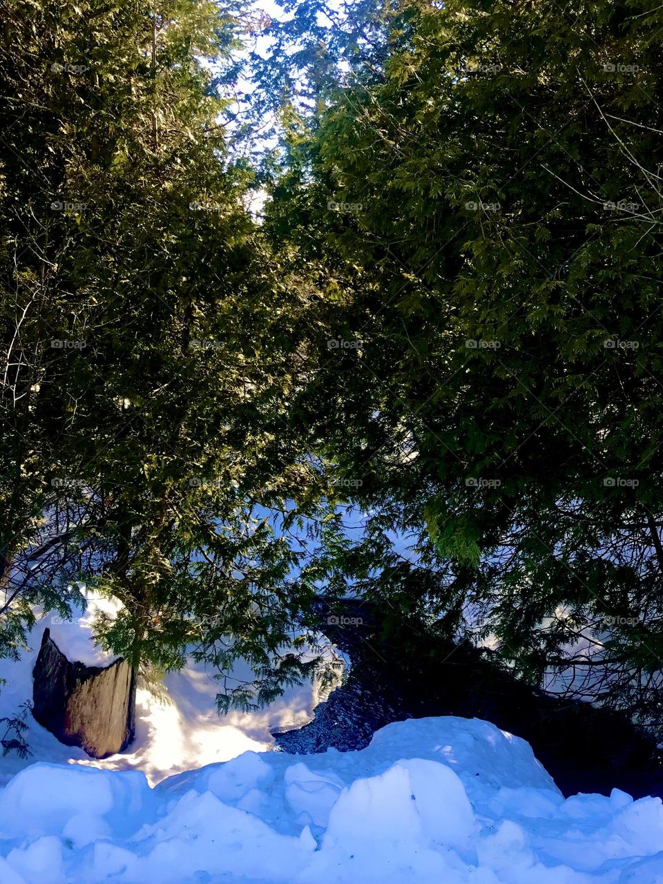 Anyone for a polar dip