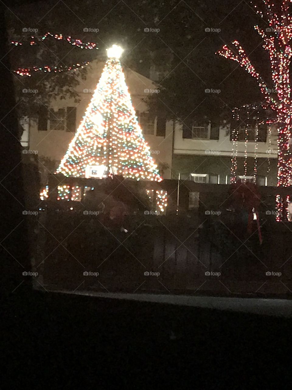 Christmas tree lights 