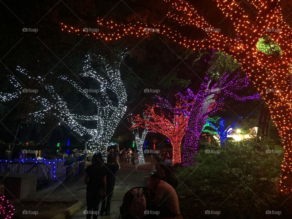 Christmas treelights 