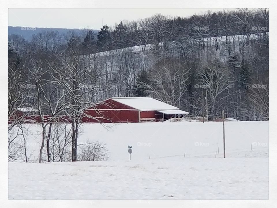 red barn contrasting the snow