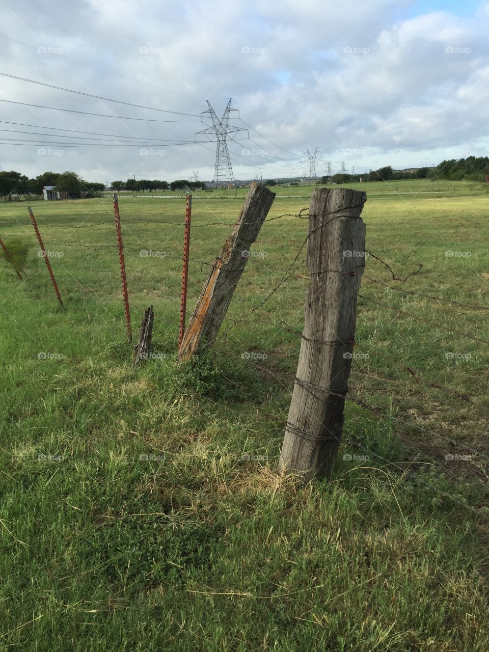 Fence line