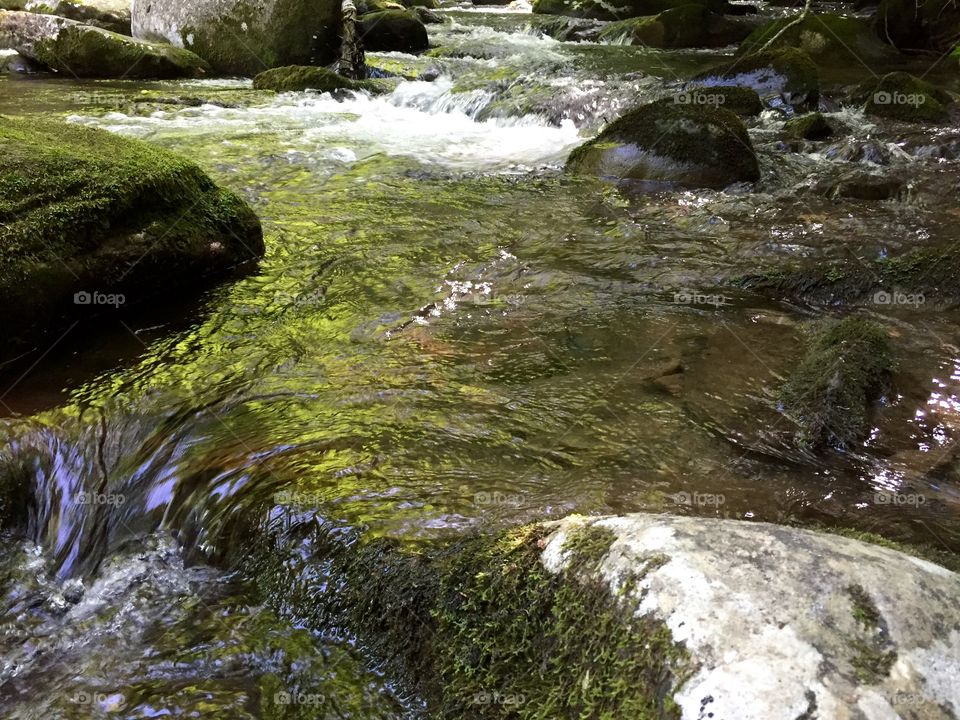 Water, Stream, River, Moss, Waterfall