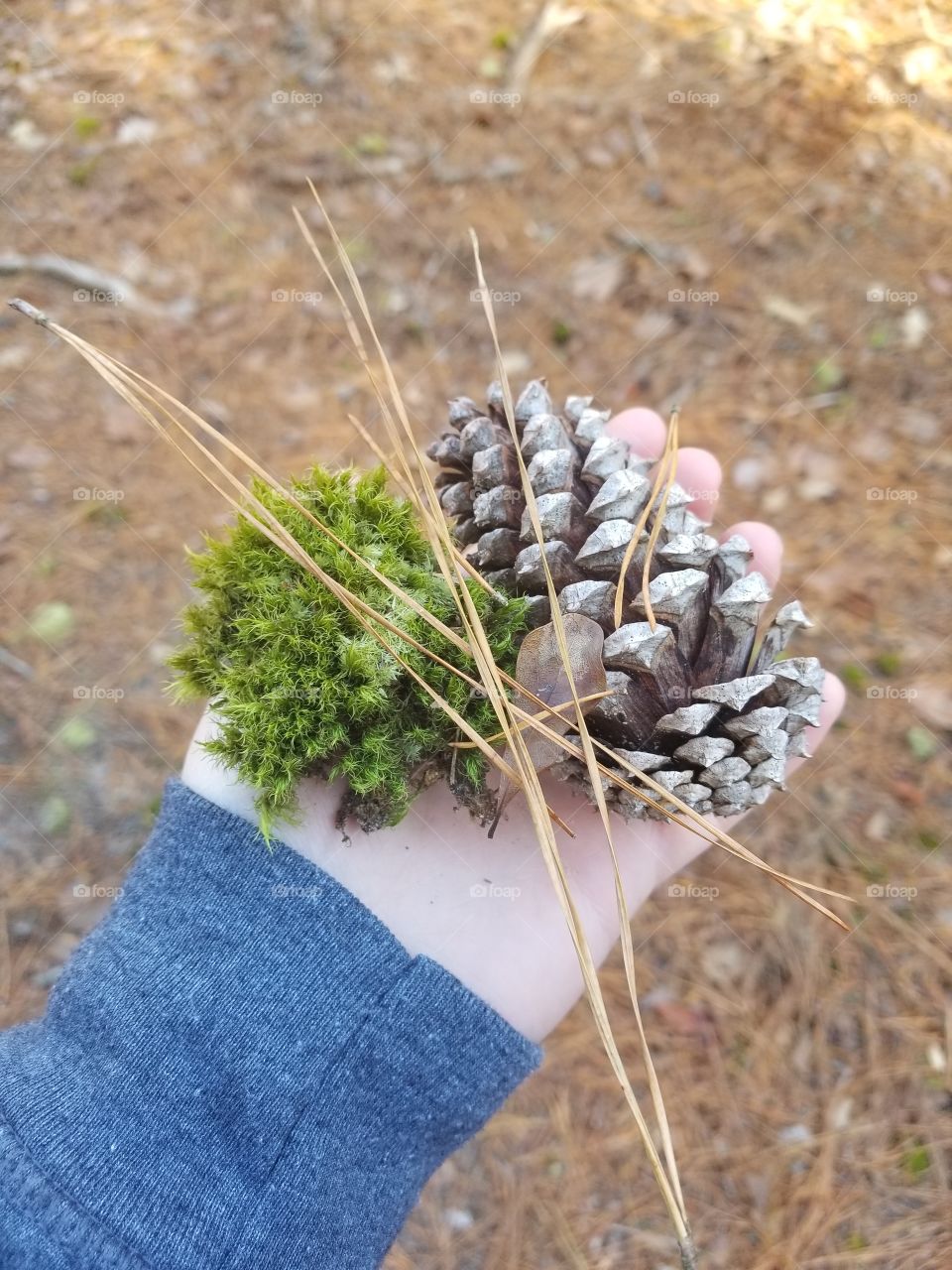 Holding Nature's Ingredients