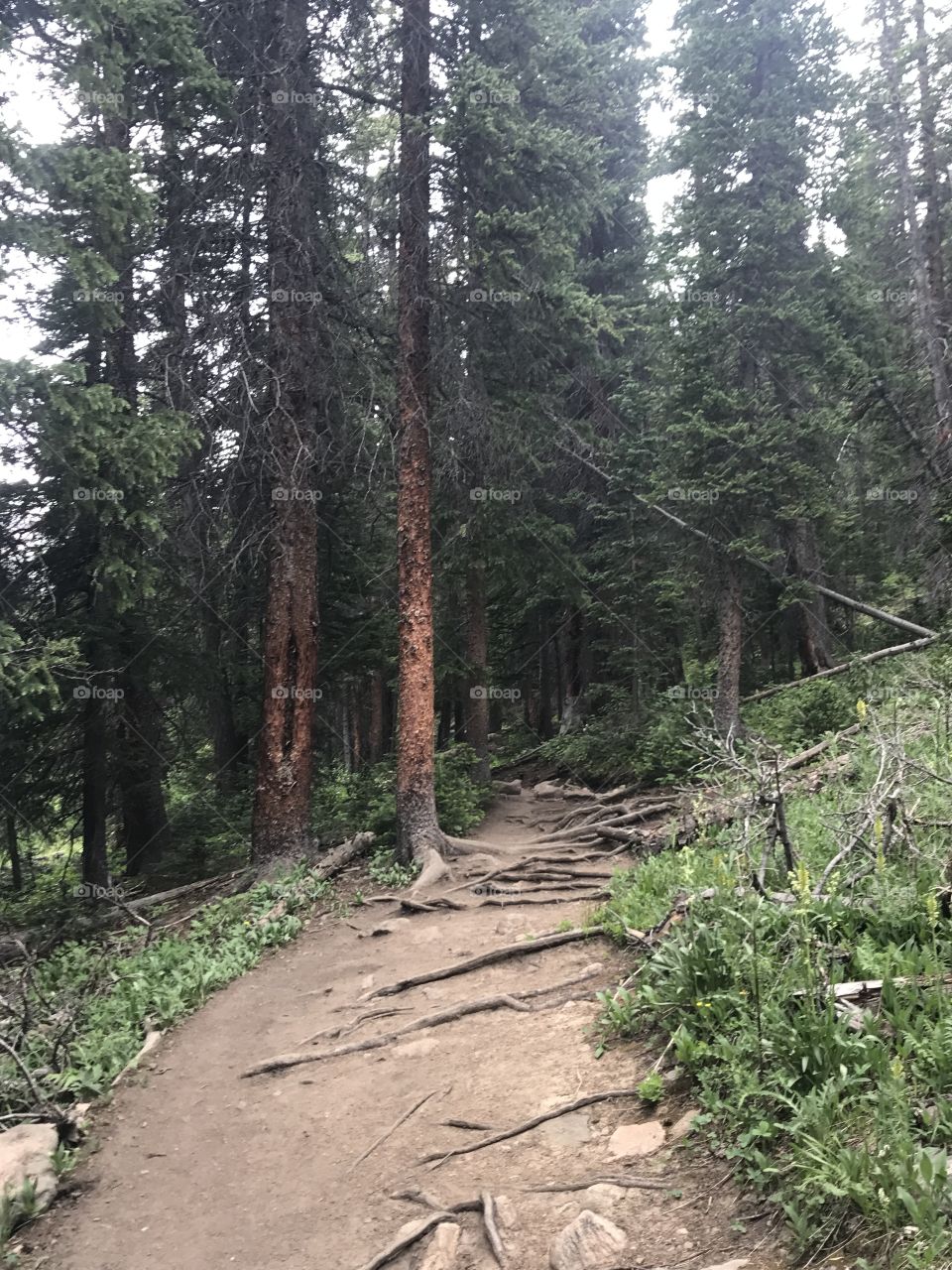 Colorado hike 