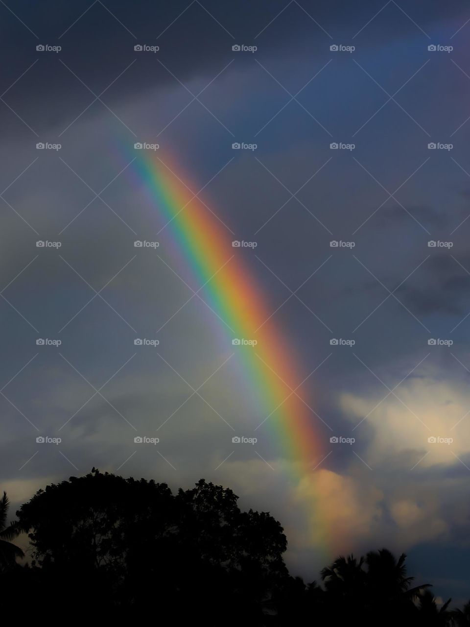 View after rain in a village 