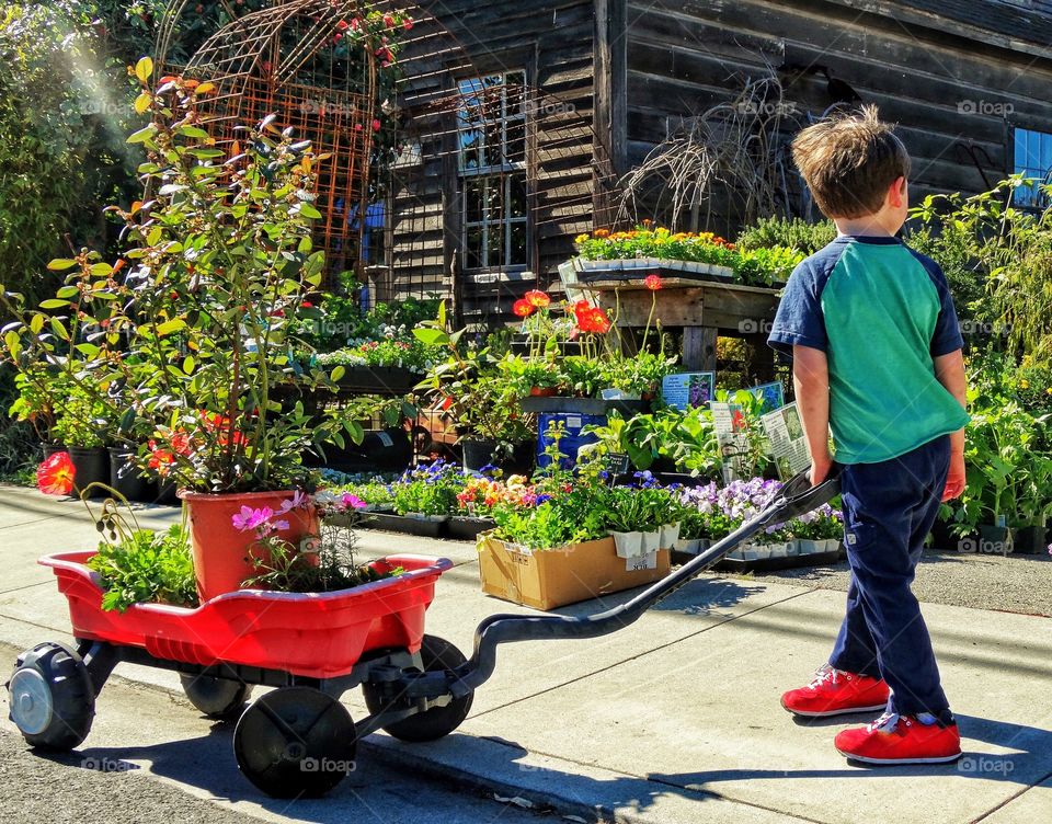 Young Boy Shopping For Flowers