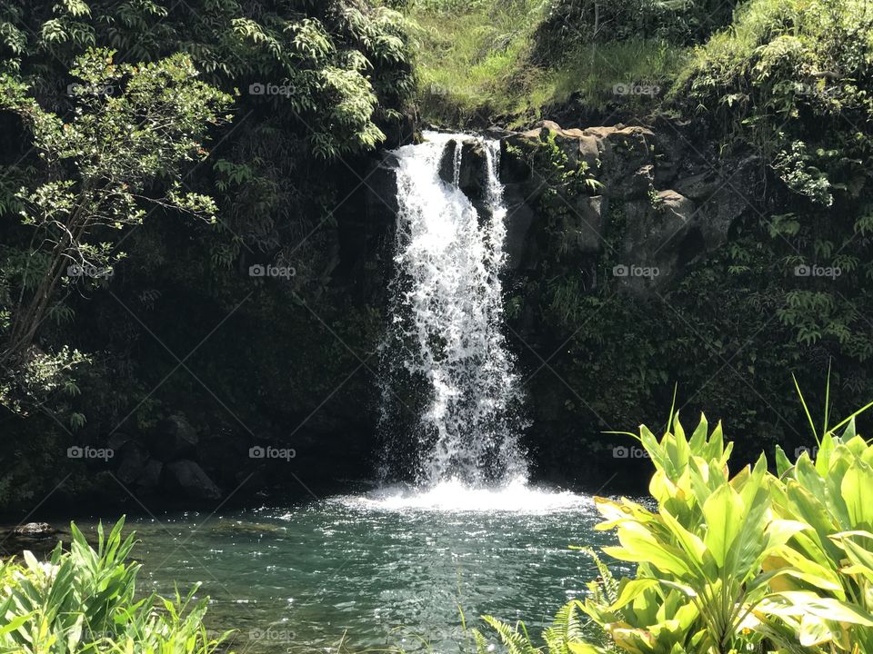 The road to Hana waterfall